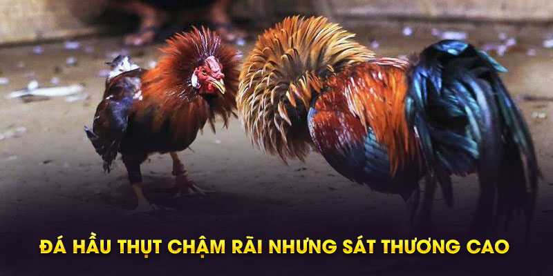 Lối đá đốc cổ có thể khiến đối thủ chấn thương nghiêm trọng